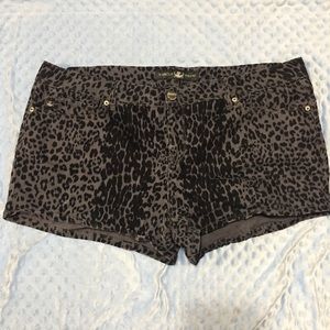 Torrid Black Leopard Shorts
